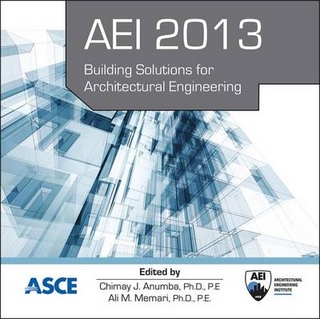 AEI 2013