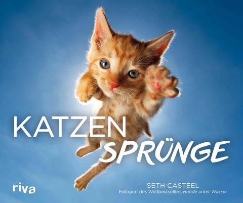 Katzensprünge -  Seth Casteel