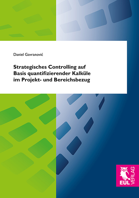 Strategisches Controlling auf Basis quantifizierender Kalk&uuml;le im Projekt- und Bereichsbezug - Daniel Gavranovic