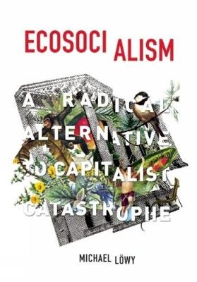 Ecosocialism - Michael Lowy