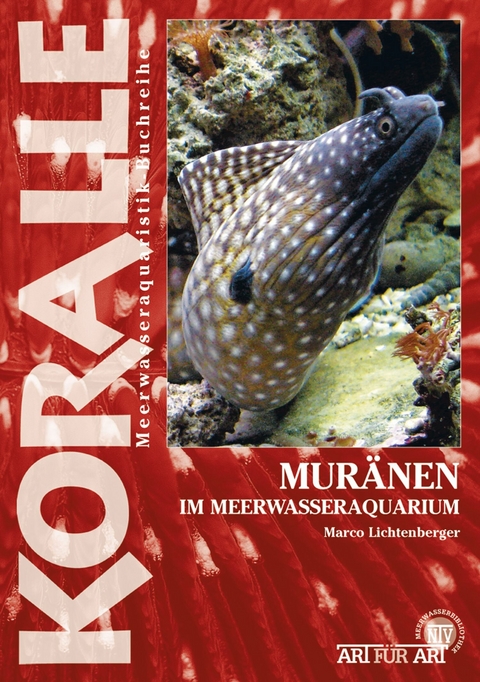 Mur&auml;nen im Meerwasseraquarium - Marko Lichtenberger