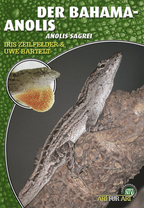 Der Bahama-Anolis - Iris Zeilfelder, Uwe Bartelt