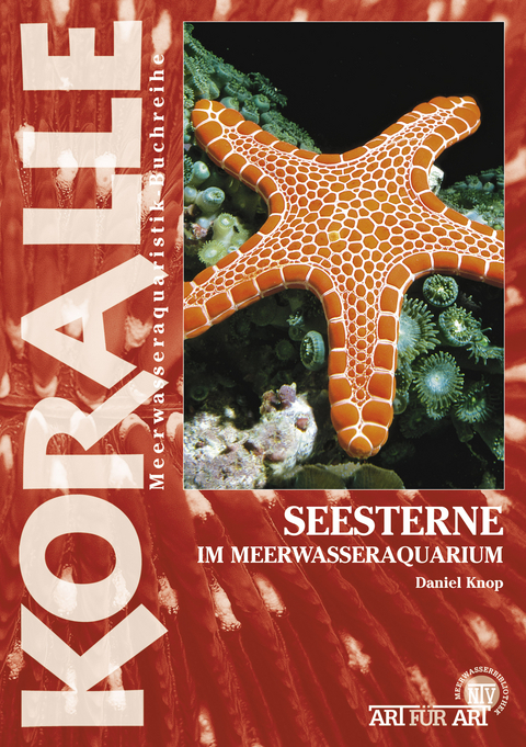 Seesterne im Meerwasseraquarium - Daniel Knop
