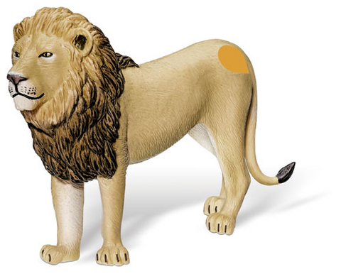 tiptoi&reg; L&ouml;wenm&auml;nnchen