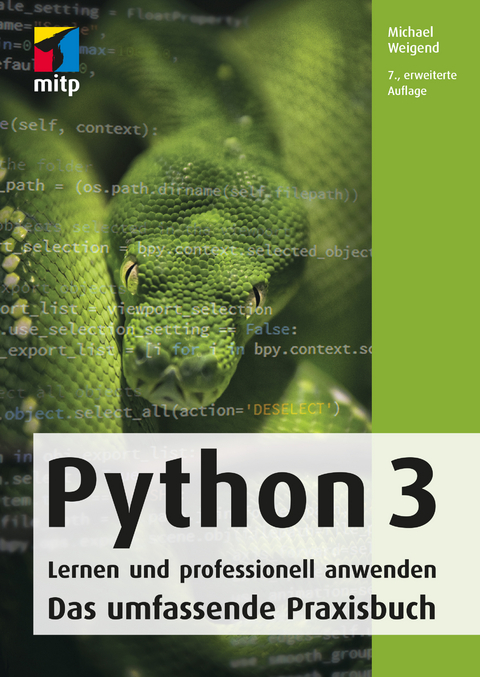 Python 3 - Michael Weigend