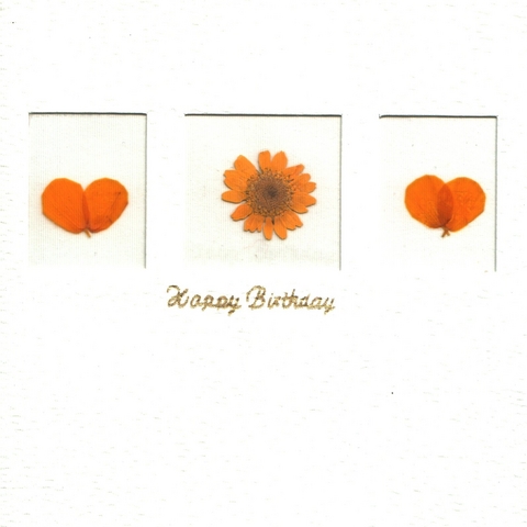 Blumenkarte C "3 Fenster" Happy