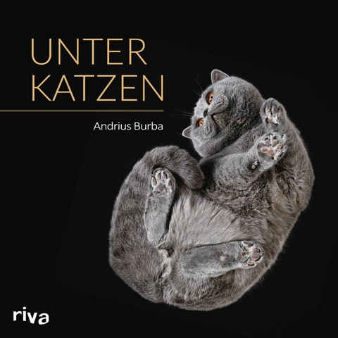 Unter Katzen -  Andrius Burba