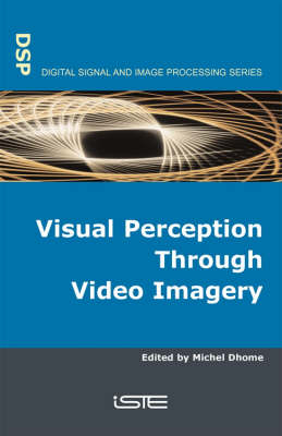 Visual Perception Through Video Imagery