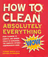How to Clean Absolutely Everything - Yvonne Worth, Amanda Blinkhorn