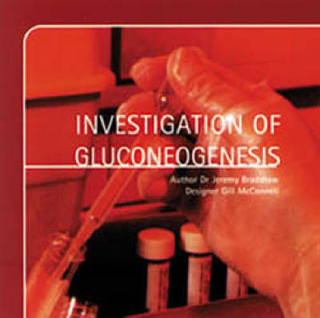 Onvestigation of Gluconeogenesis