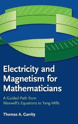 Electricity and Magnetism for Mathematicians