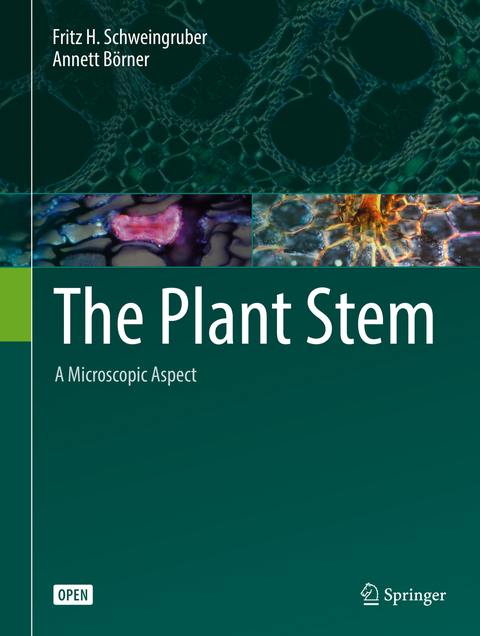 The Plant Stem - Fritz H. Schweingruber, Annett B&ouml;rner