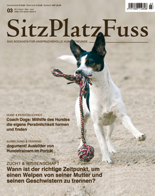 SitzPlatzFuss, Ausgabe 3