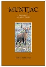 Muntjac