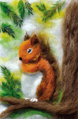 Eichhörnchen - Heike Schwarzgruber