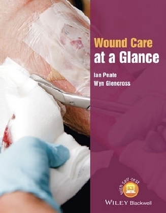 Wound Care at a Glance - Ian Peate, Wyn Glencross