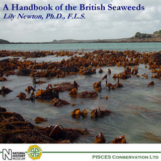 A Handbook of the British Seaweeds