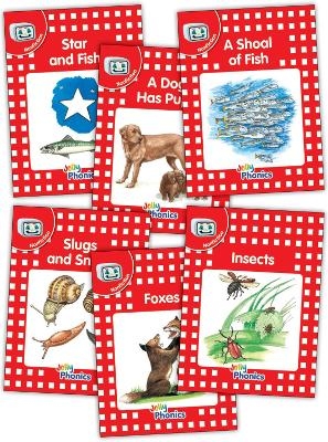 Jolly Phonics Readers, Nonfiction, Level 1 - Sara Wernham