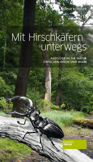 Mit Hirschkäfern unterwegs