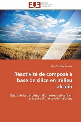 R&eacute;activit&eacute; de compos&eacute; &agrave; base de silice en milieu alcalin -  Kouassi-S
