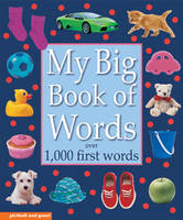 My Big Book of Words - Chez Picthall