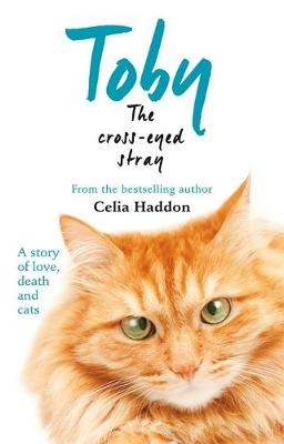 Toby The Cross-Eyed Stray - Celia Haddon