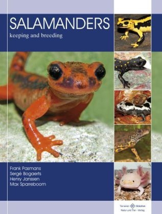 Salamanders - Frank Pasmans, Serg&eacute; Bogaerts, Henry Janssen, Max Sparreboom