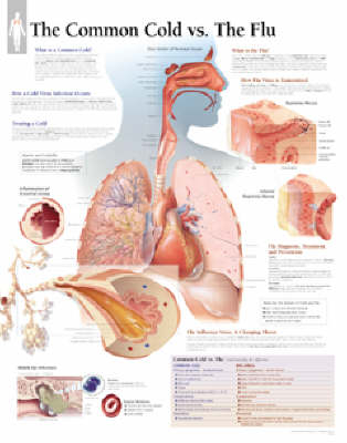 Understanding the Common Cold Paper Poster -  Scientific Publishing