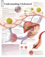 Understanding Cholesterol Paper Poster -  Scientific Publishing