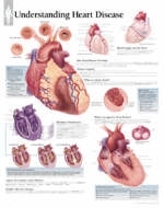 Understanding Heart Disease Paper Poster -  Scientific Publishing