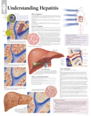 Understanding Hepatitis Paper Poster -  Scientific Publishing
