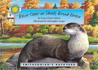 River Otter at Autumn Lane