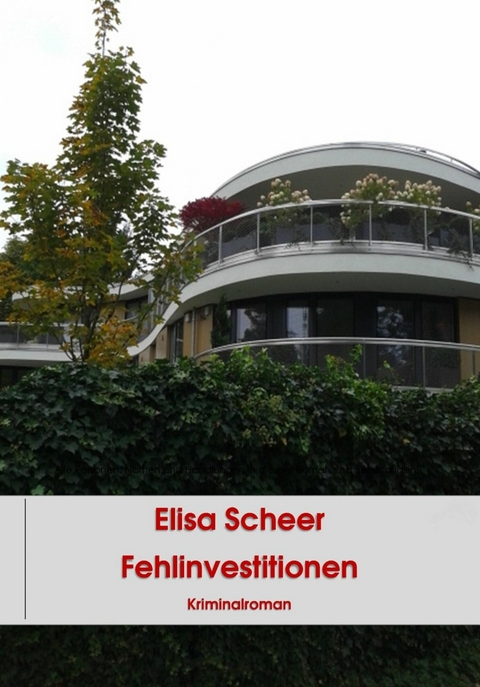 Fehlinvestitionen - Elisa Scheer
