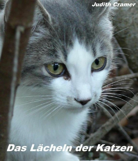 Das Lächeln der Katzen - Judith Cramer
