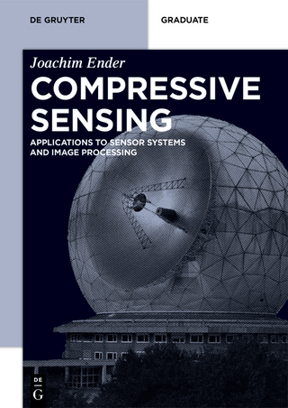 Compressive Sensing