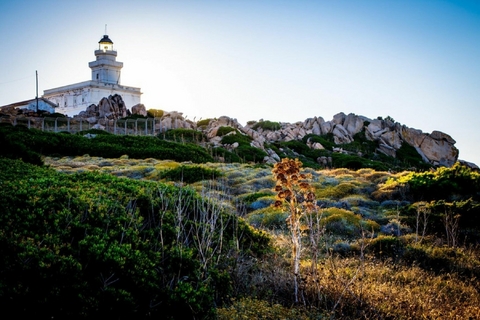 Capo Testa - Matthias Gerspacher Czyrnick Vorraro