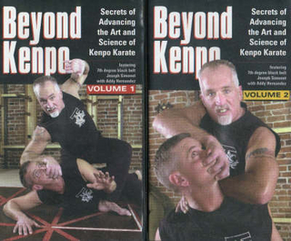 Beyond Kenpo
