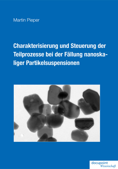 Charakterisierung und Steuerung der Teilprozesse bei der F&auml;llung nanoskaliger Partikelsuspensionen - Martin Pieper