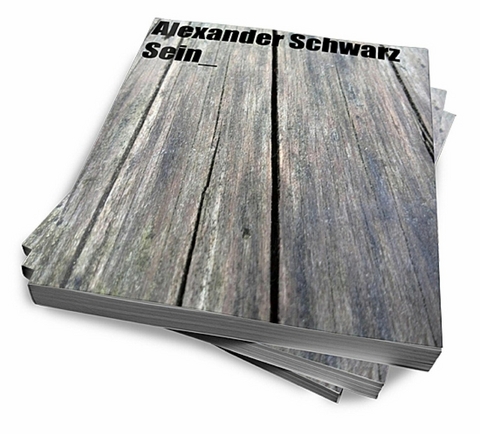 Sein - Alexander Schwarz