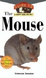The Mouse