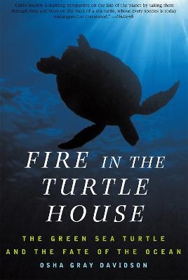 Fire In The Turtle House