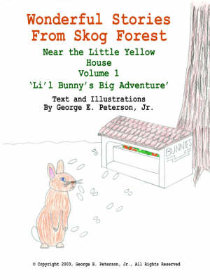 Wonderful Stories From Skog Forest - George E. Peterson Jr.