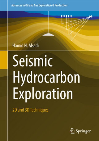 Seismic Hydrocarbon Exploration