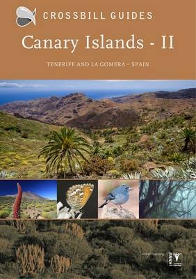 Canary Islands II