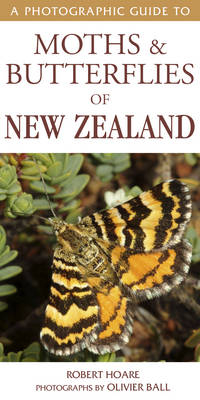 Photographic Guide To Moths & Butterflies Of New Zealand - Robert Hoare &amp Ball;  Olivier