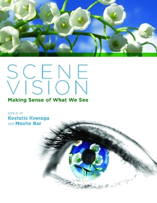 Scene Vision
