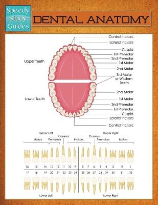 Dental Anatomy (Speedy Study Guide)
