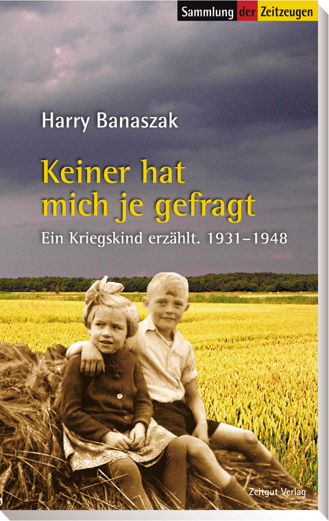 Keiner hat mich je gefragt - Harry Banaszak