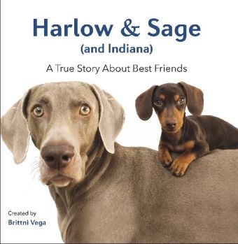 Harlow & Sage (and Indiana) - Brittni Vega