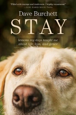 Stay - Dave Burchett